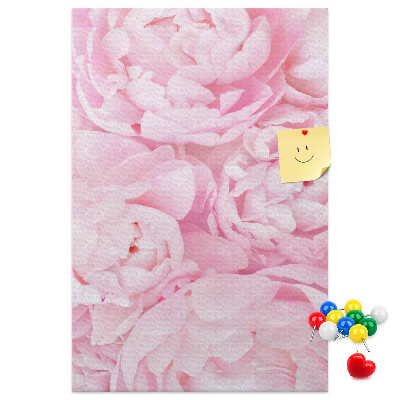 Decoración pizarra de corcho Delicadas peonías rosas en plena floración.