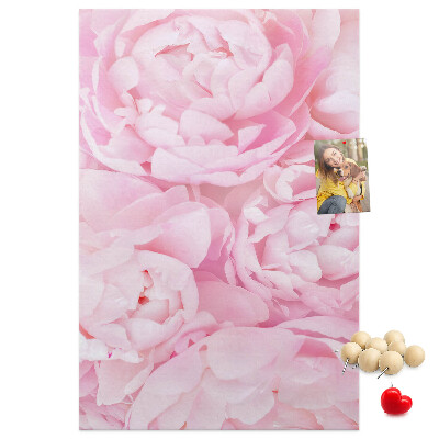 Decoración pizarra de corcho Delicadas peonías rosas en plena floración.