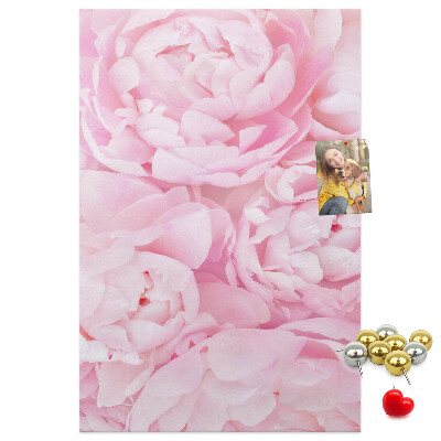 Decoración pizarra de corcho Delicadas peonías rosas en plena floración.