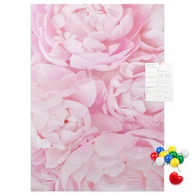 Decoración pizarra de corcho Delicadas peonías rosas en plena floración.