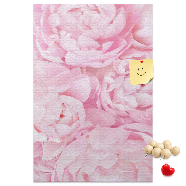 Decoración pizarra de corcho Delicadas peonías rosas en plena floración.