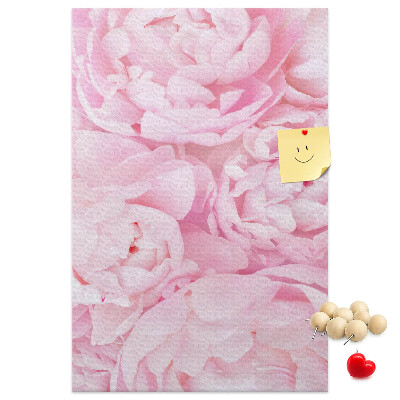 Decoración pizarra de corcho Delicadas peonías rosas en plena floración.