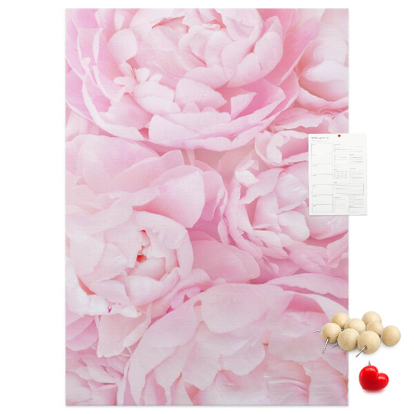 Decoración pizarra de corcho Delicadas peonías rosas en plena floración.