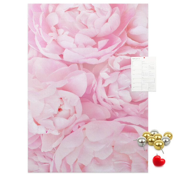 Decoración pizarra de corcho Delicadas peonías rosas en plena floración.