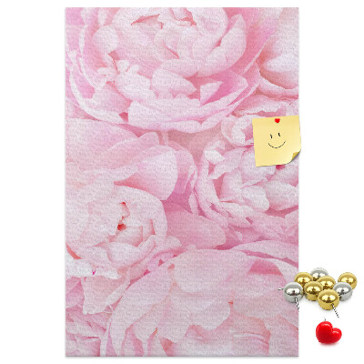 Decoración pizarra de corcho Delicadas peonías rosas en plena floración.