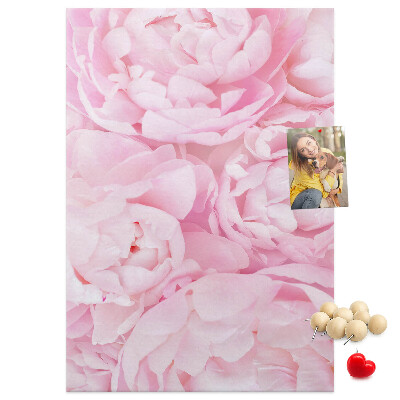 Decoración pizarra de corcho Delicadas peonías rosas en plena floración.
