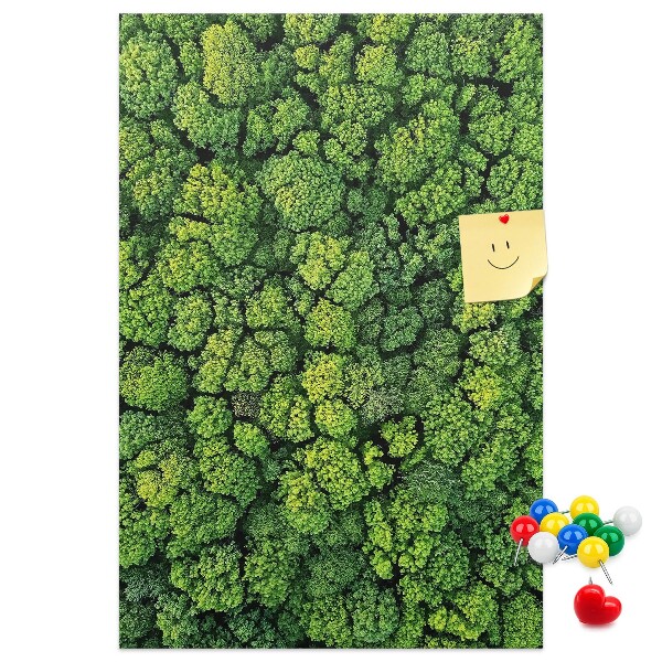 Decoración pizarra de corcho Bosque verde visto desde una perspectiva aérea