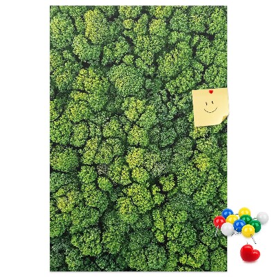 Decoración pizarra de corcho Bosque verde visto desde una perspectiva aérea