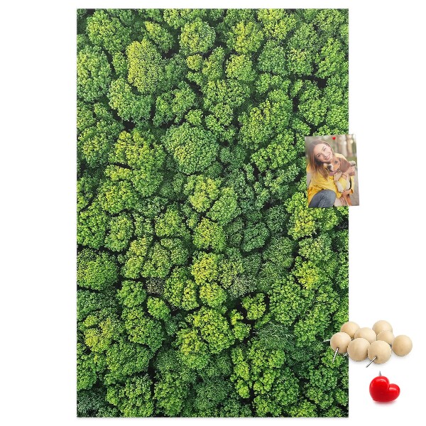 Decoración pizarra de corcho Bosque verde visto desde una perspectiva aérea