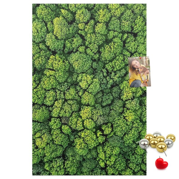 Decoración pizarra de corcho Bosque verde visto desde una perspectiva aérea