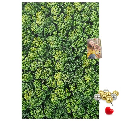 Decoración pizarra de corcho Bosque verde visto desde una perspectiva aérea