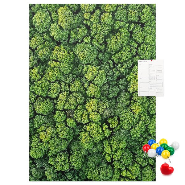 Decoración pizarra de corcho Bosque verde visto desde una perspectiva aérea