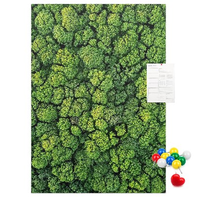 Decoración pizarra de corcho Bosque verde visto desde una perspectiva aérea