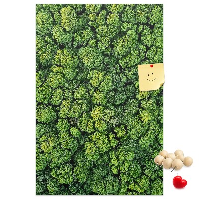 Decoración pizarra de corcho Bosque verde visto desde una perspectiva aérea