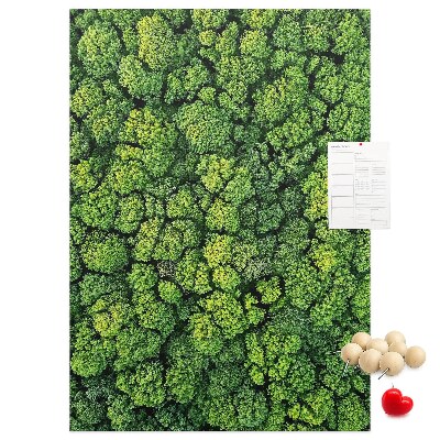 Decoración pizarra de corcho Bosque verde visto desde una perspectiva aérea