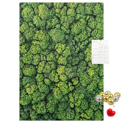 Decoración pizarra de corcho Bosque verde visto desde una perspectiva aérea