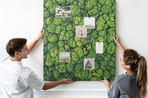 Decoración pizarra de corcho Bosque verde visto desde una perspectiva aérea