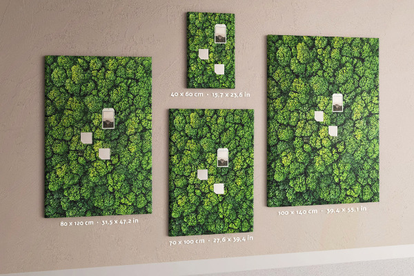 Decoración pizarra de corcho Bosque verde visto desde una perspectiva aérea