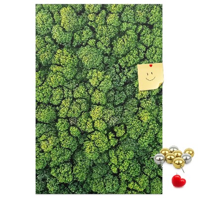 Decoración pizarra de corcho Bosque verde visto desde una perspectiva aérea