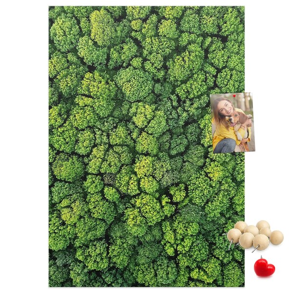 Decoración pizarra de corcho Bosque verde visto desde una perspectiva aérea