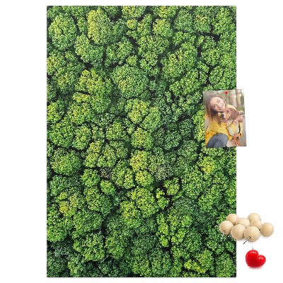 Decoración pizarra de corcho Bosque verde visto desde una perspectiva aérea