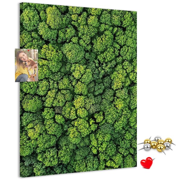 Decoración pizarra de corcho Bosque verde visto desde una perspectiva aérea