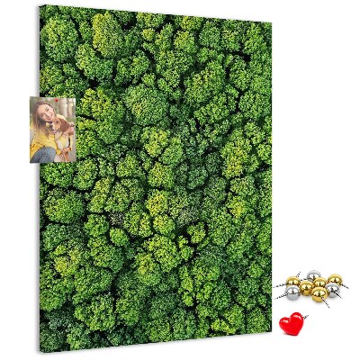 Decoración pizarra de corcho Bosque verde visto desde una perspectiva aérea