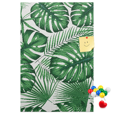 Tablón de corcho Hojas de monstera sobre un fondo claro