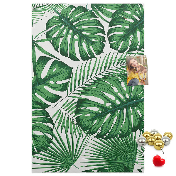 Tablón de corcho Hojas de monstera sobre un fondo claro