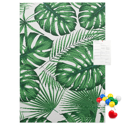 Tablón de corcho Hojas de monstera sobre un fondo claro