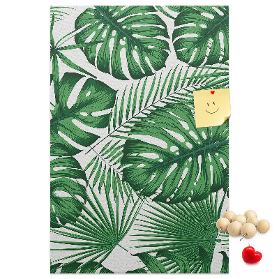 Tablón de corcho Hojas de monstera sobre un fondo claro
