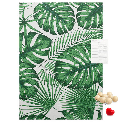 Tablón de corcho Hojas de monstera sobre un fondo claro