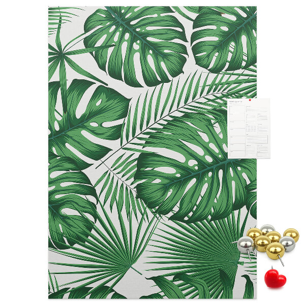 Tablón de corcho Hojas de monstera sobre un fondo claro