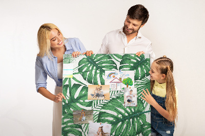 Tablón de corcho Hojas de monstera sobre un fondo claro