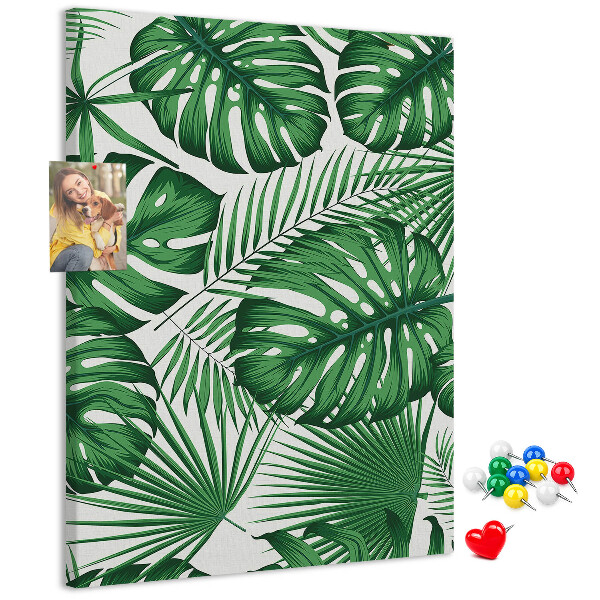 Tablón de corcho Hojas de monstera sobre un fondo claro
