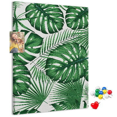 Tablón de corcho Hojas de monstera sobre un fondo claro