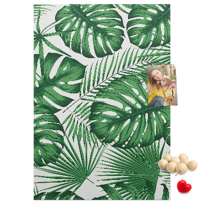 Tablón de corcho Hojas de monstera sobre un fondo claro