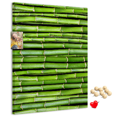 Tablón de corcho Tallos de bambú verde en una disposición armoniosa