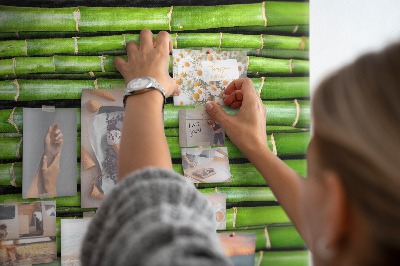 Tablón de corcho Tallos de bambú verde en una disposición armoniosa