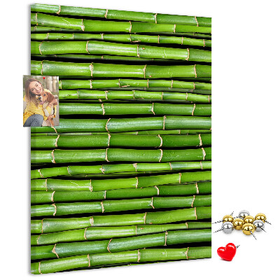 Tablón de corcho Tallos de bambú verde en una disposición armoniosa