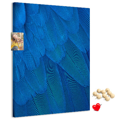 Decoración pizarra de corcho Plumas azules en la luz suave