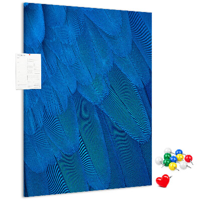Decoración pizarra de corcho Plumas azules en la luz suave