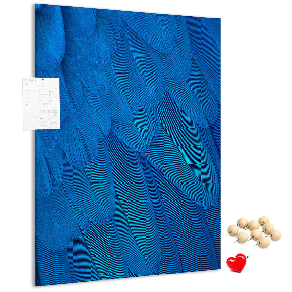 Decoración pizarra de corcho Plumas azules en la luz suave