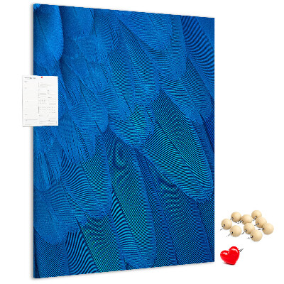 Decoración pizarra de corcho Plumas azules en la luz suave