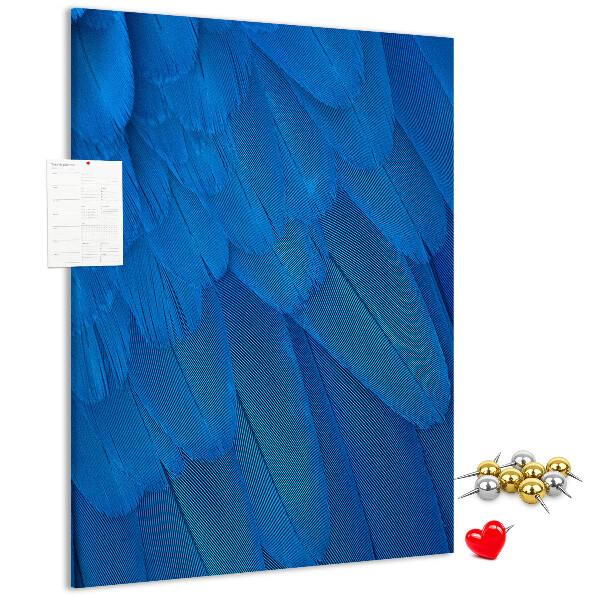 Decoración pizarra de corcho Plumas azules en la luz suave