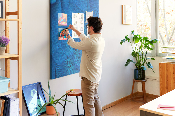 Decoración pizarra de corcho Plumas azules en la luz suave