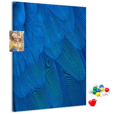 Decoración pizarra de corcho Plumas azules en la luz suave