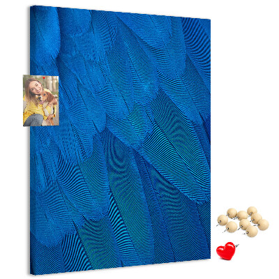 Decoración pizarra de corcho Plumas azules en la luz suave