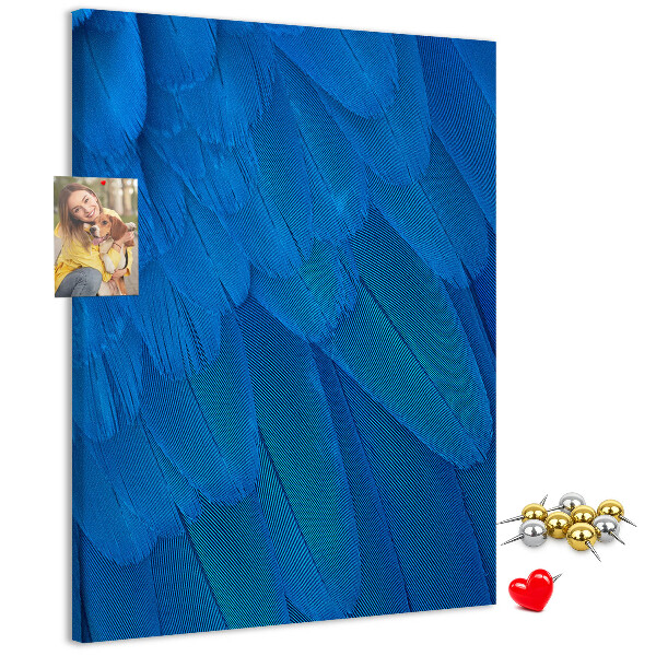 Decoración pizarra de corcho Plumas azules en la luz suave