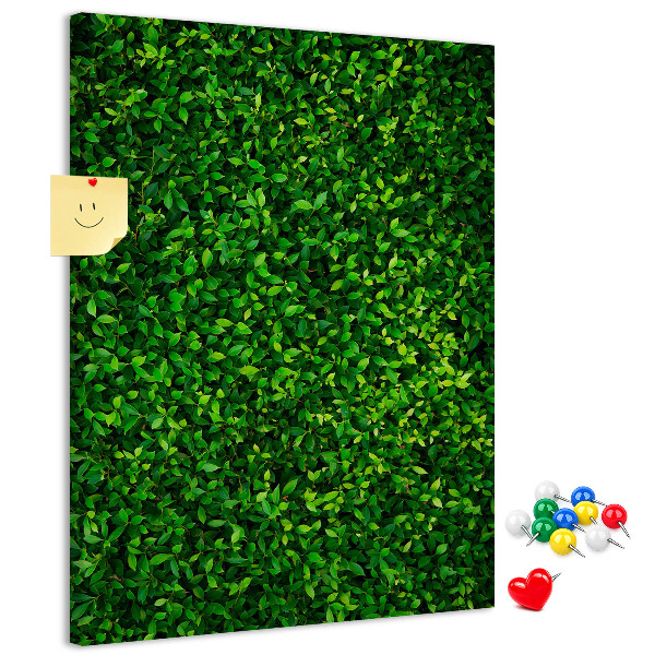 Pizarra de corcho decorativa muro verde denso y frondoso